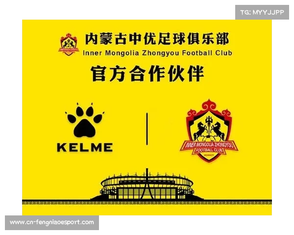 足球俱乐部引援资金投入分析及其对球队竞争力的影响 足球俱乐部引援资金投入分析及其对球队竞争力的影响